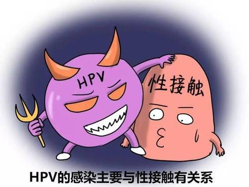 尖锐湿疣简单的调理方法【惠州广肤皮肤病专科医院怎么样】